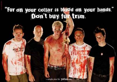 simple plan